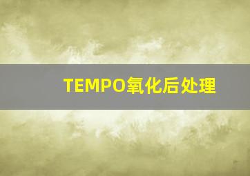 TEMPO氧化后处理