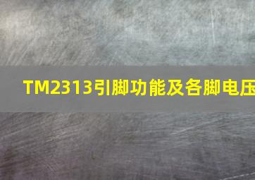 TM2313引脚功能及各脚电压