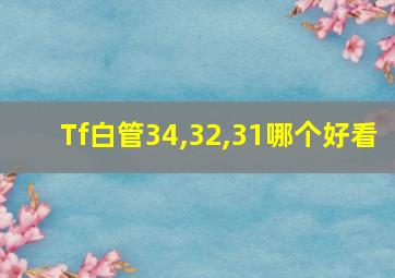 Tf白管34,32,31哪个好看