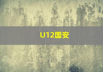 U12国安