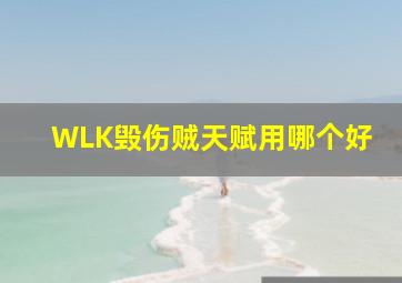 WLK毁伤贼天赋用哪个好