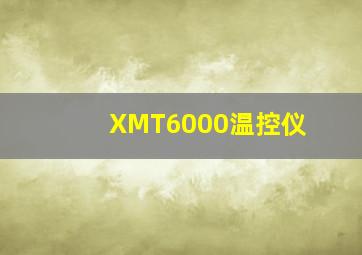 XMT6000温控仪