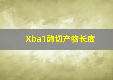 Xba1酶切产物长度