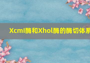 XcmI酶和Xhol酶的酶切体系