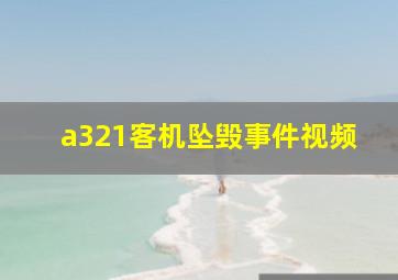 a321客机坠毁事件视频