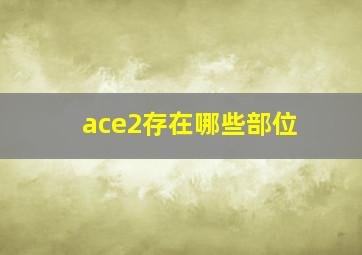 ace2存在哪些部位