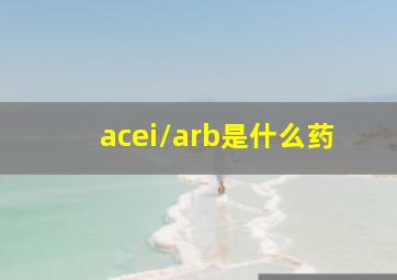 acei/arb是什么药