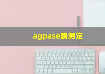 agpase酶测定