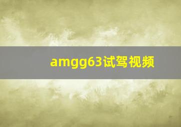 amgg63试驾视频