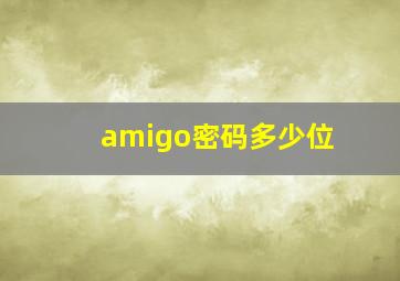 amigo密码多少位