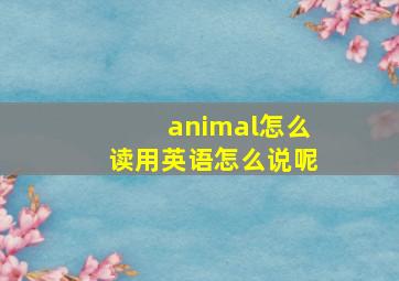 animal怎么读用英语怎么说呢