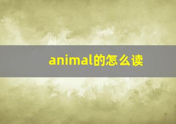 animal的怎么读