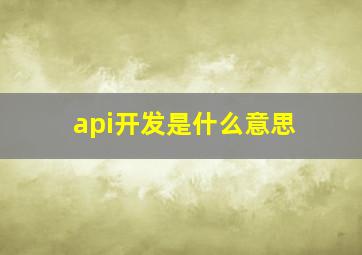 api开发是什么意思