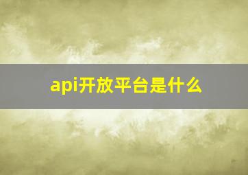 api开放平台是什么