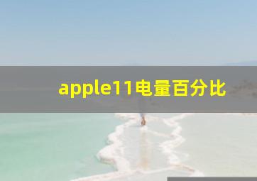 apple11电量百分比