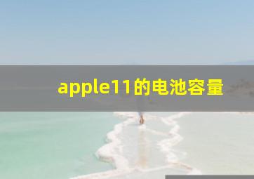 apple11的电池容量