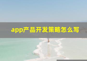 app产品开发策略怎么写