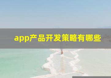 app产品开发策略有哪些