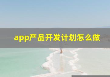 app产品开发计划怎么做