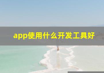 app使用什么开发工具好