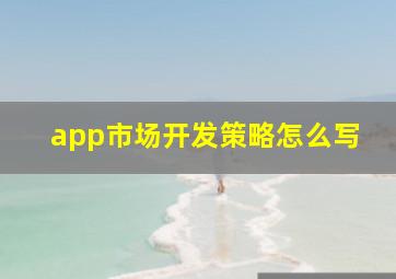 app市场开发策略怎么写