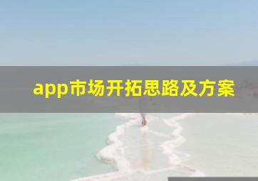 app市场开拓思路及方案