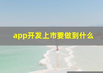 app开发上市要做到什么