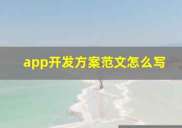 app开发方案范文怎么写