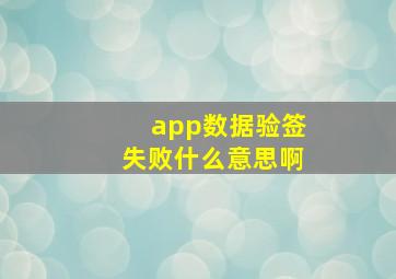 app数据验签失败什么意思啊