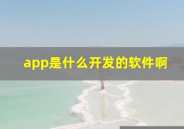 app是什么开发的软件啊