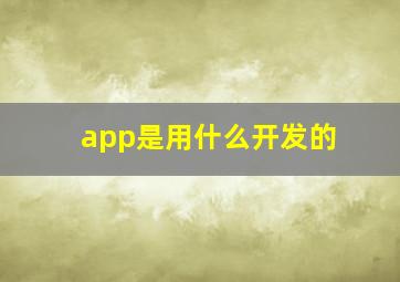 app是用什么开发的