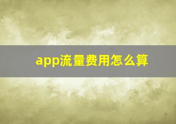 app流量费用怎么算