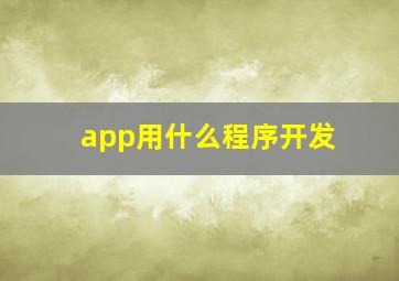 app用什么程序开发