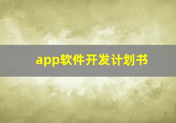 app软件开发计划书