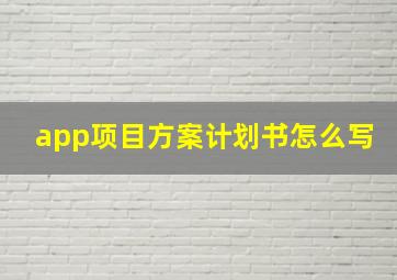 app项目方案计划书怎么写