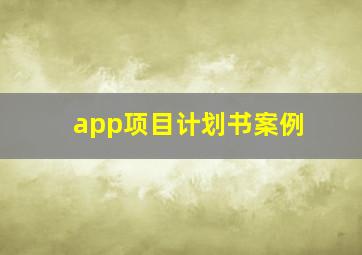 app项目计划书案例