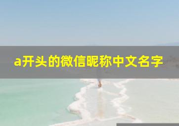 a开头的微信昵称中文名字