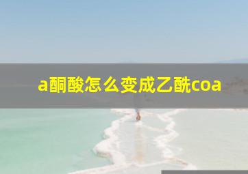 a酮酸怎么变成乙酰coa