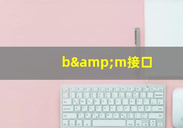 b&m接口