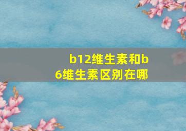 b12维生素和b6维生素区别在哪