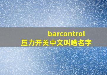 barcontrol压力开关中文叫啥名字