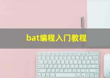 bat编程入门教程