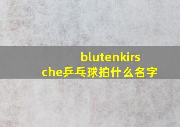 blutenkirsche乒乓球拍什么名字