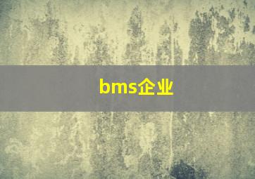 bms企业