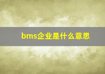 bms企业是什么意思