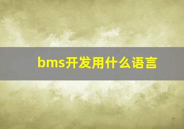 bms开发用什么语言