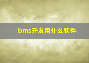 bms开发用什么软件