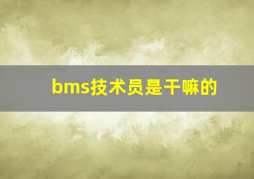 bms技术员是干嘛的