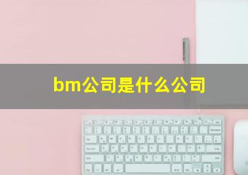 bm公司是什么公司