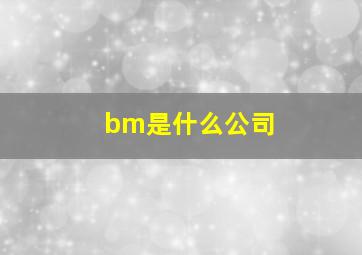 bm是什么公司